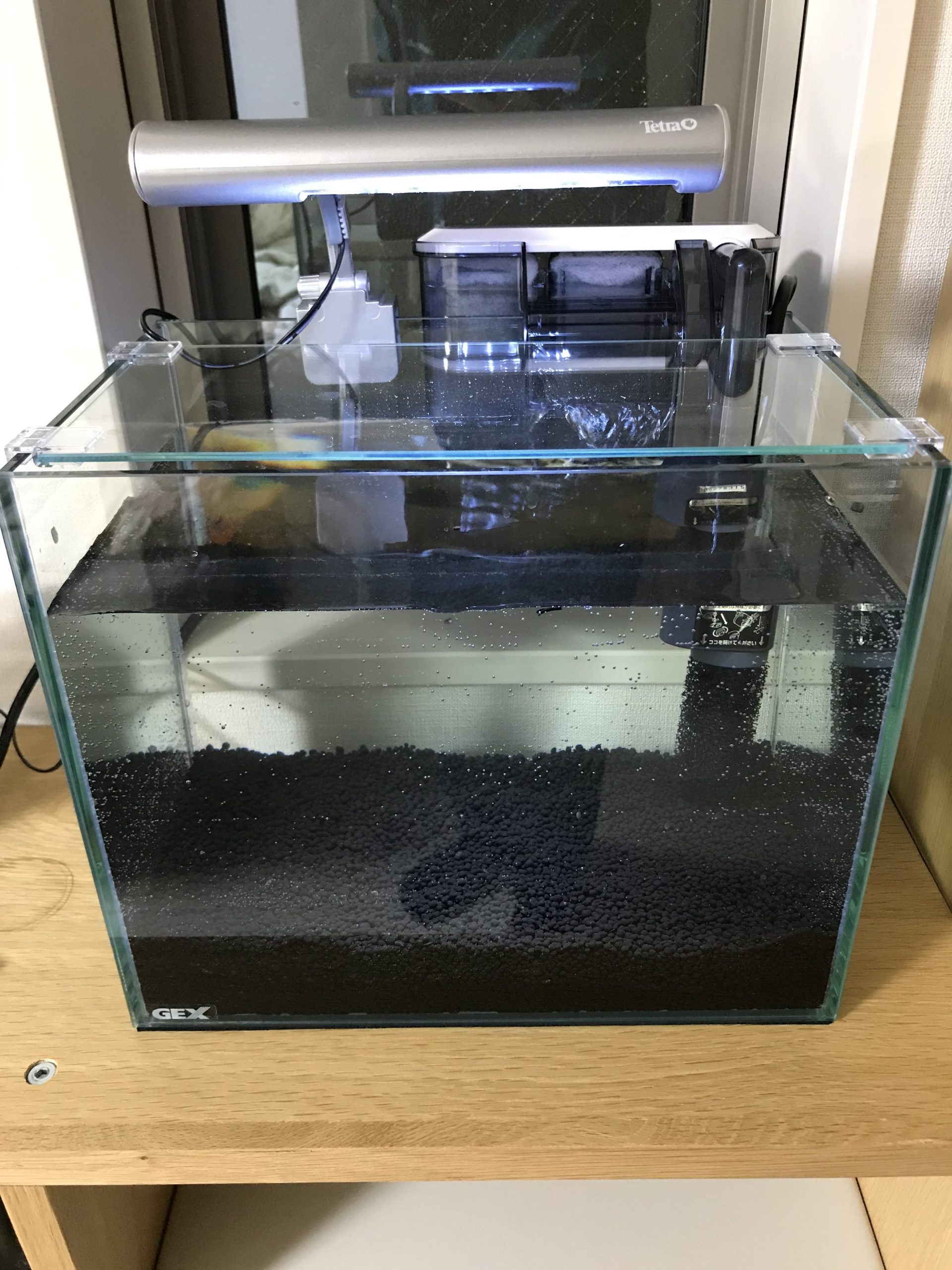 ステイホームの今だからこそ アクアリウムを立ち上げてみた Stargazer ステイホームの今だからこそ アクアリウムを立ち上げてみた Stargazer